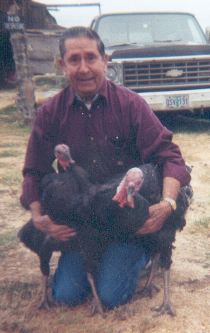 Dad and the Turkeys